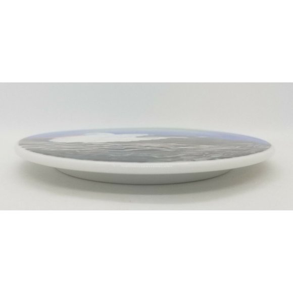 RARE Stork on Nest by Artist Mads Stage Bing & Grondahl Denmark B & G Plate - Picture 2 of 5